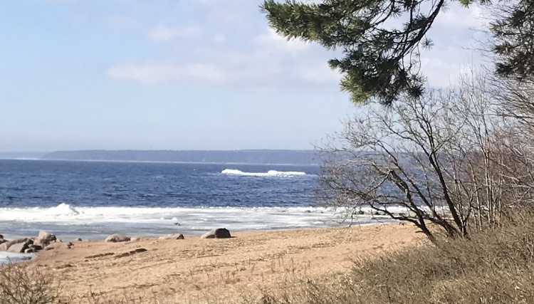 В Финском заливе айсберг 
