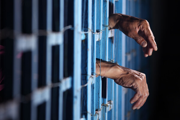 sakhorn/Shutterstock/FOTODOM   📷