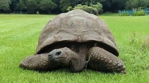    Кадр видео канала Inside Edition/YouTube