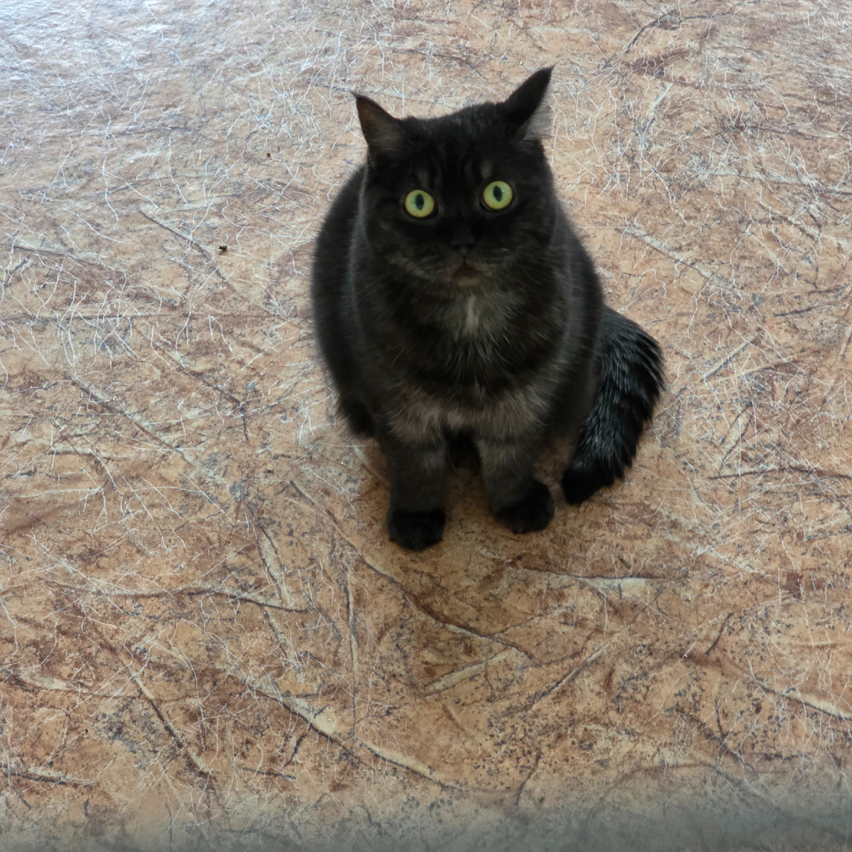 Маша с загадочным взглядом мечтательницы