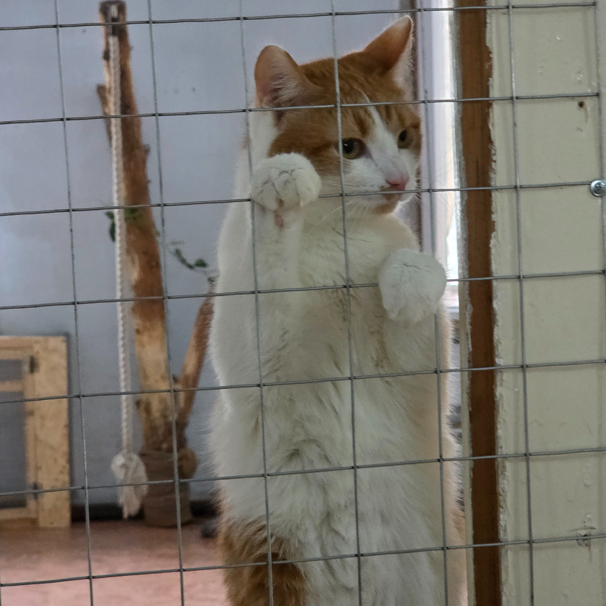 э-ээ-э-э-ээй! Не слушать, тут секрет!