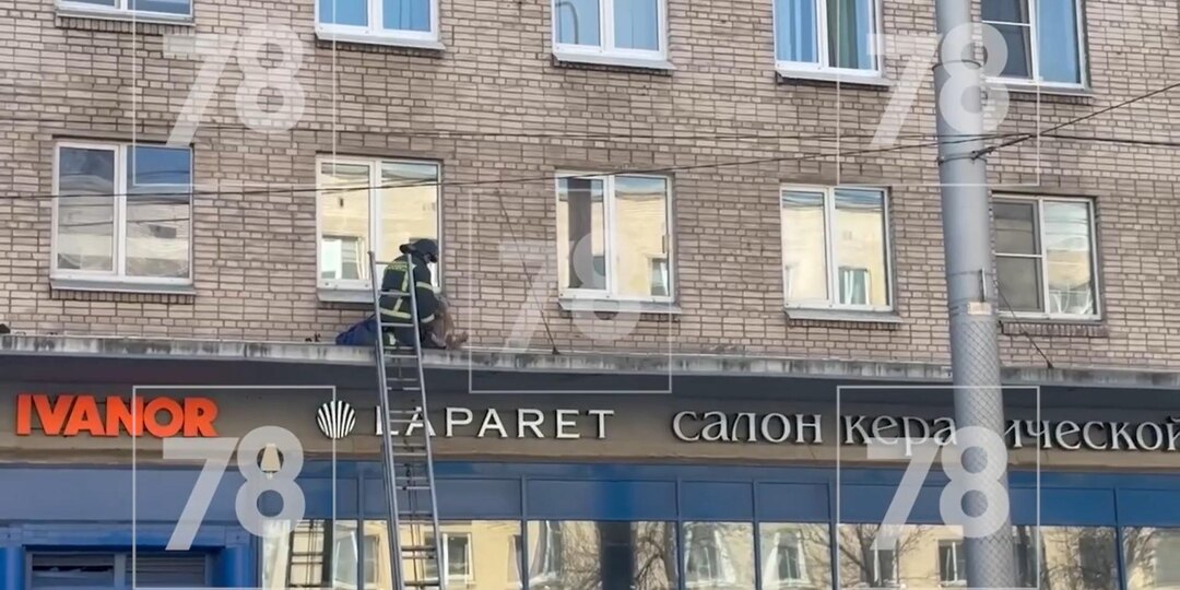 В Красногвардейском районе спасатели сняли с козырька магазина женщину