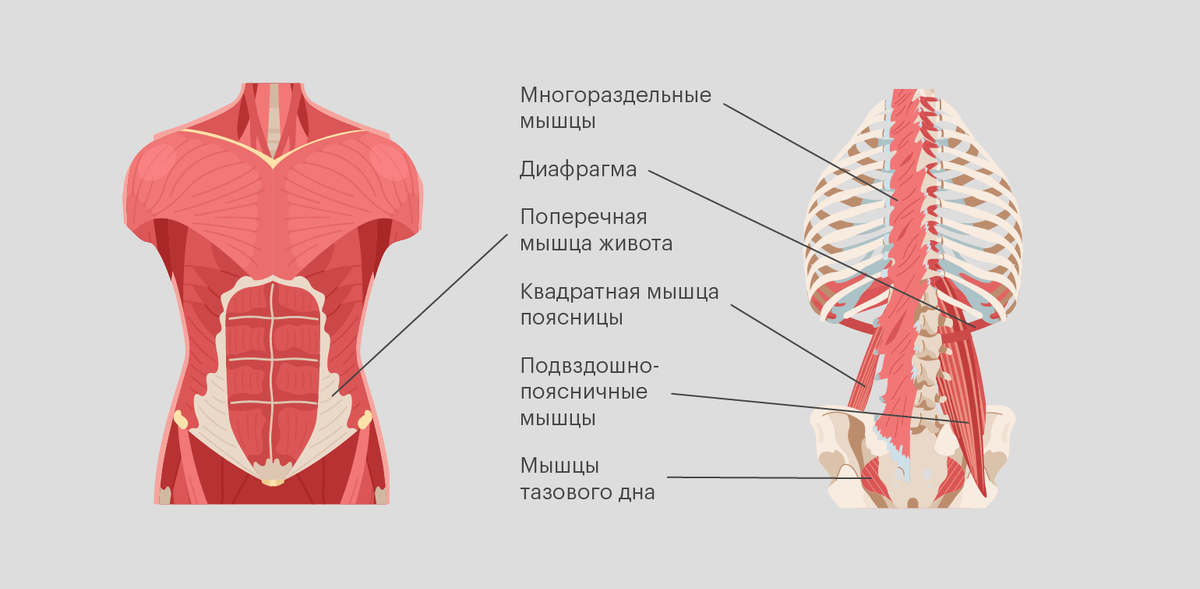 фото из открытого источника