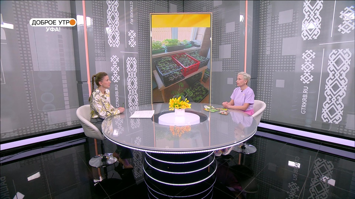    "Доброе утро, Уфа!" полный выпуск 3 апреля 2026
