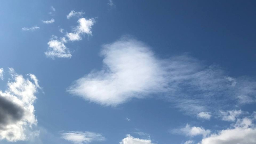    Фото из архива редакции