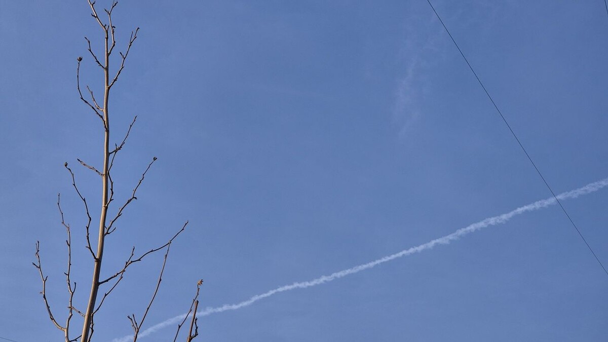    Фото: телеканал «Краснодар»