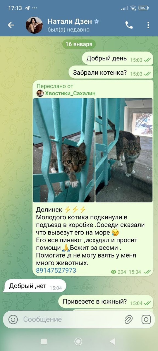 Марк в начале пути.