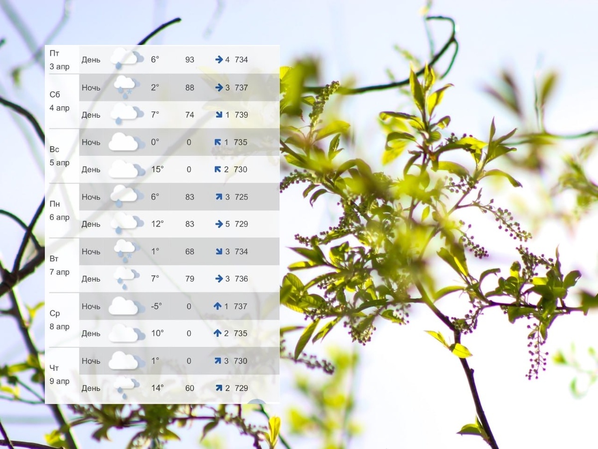 Данные Гидрометцентра России