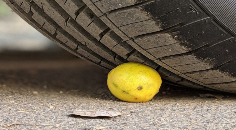 Я понимаю, в жарких странах они стоят копейки, но мне так еду жалко