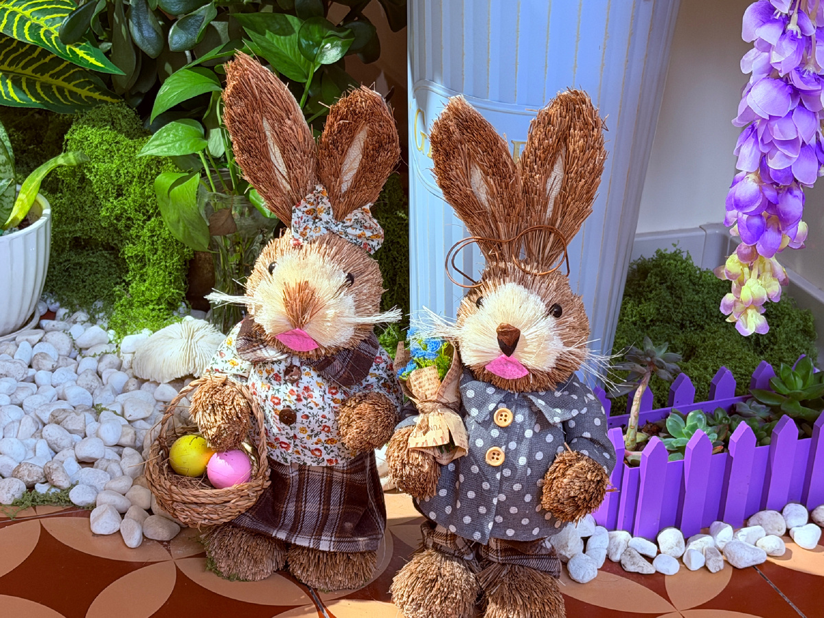 Все фото сделаны автором канала Соло-путешествия в Китае