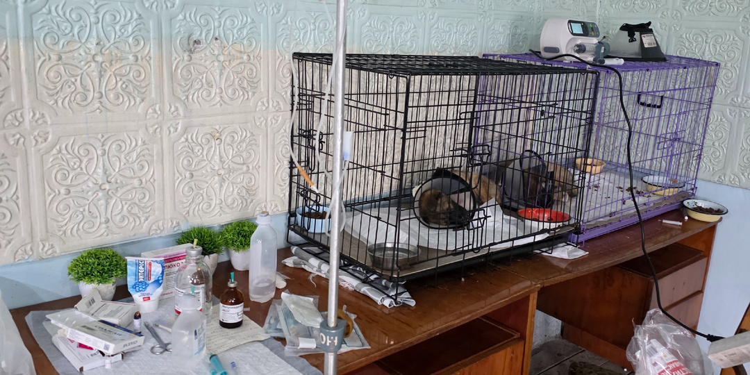 Глаза ввалились. Снова капельницы.