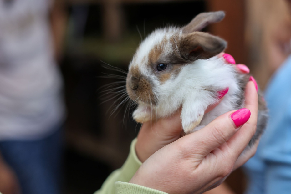    Алексей Белкин/NEWS.ru