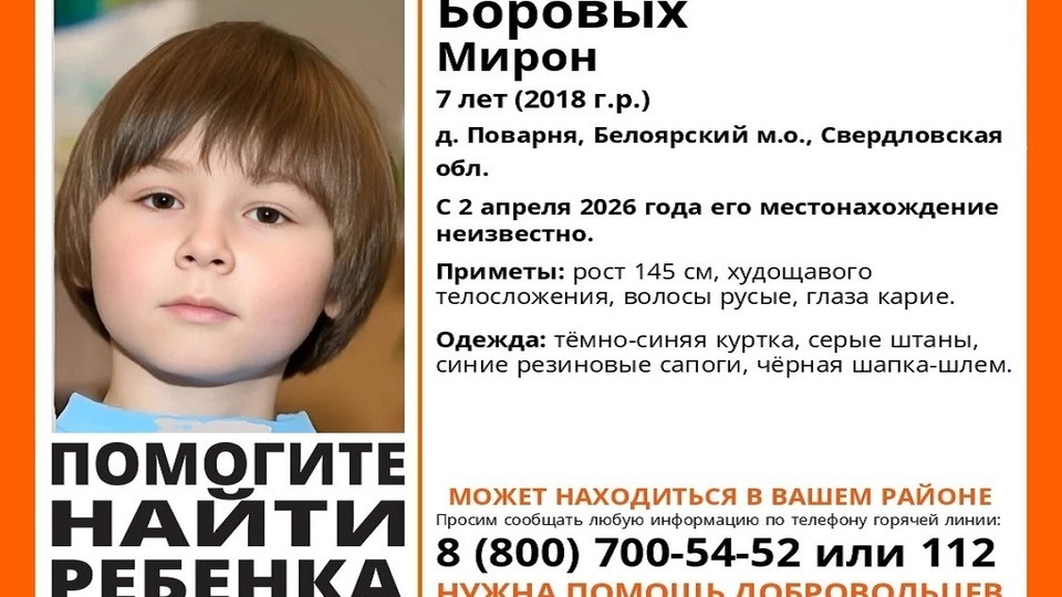 В свердловской деревне пропал 7-летний мальчик