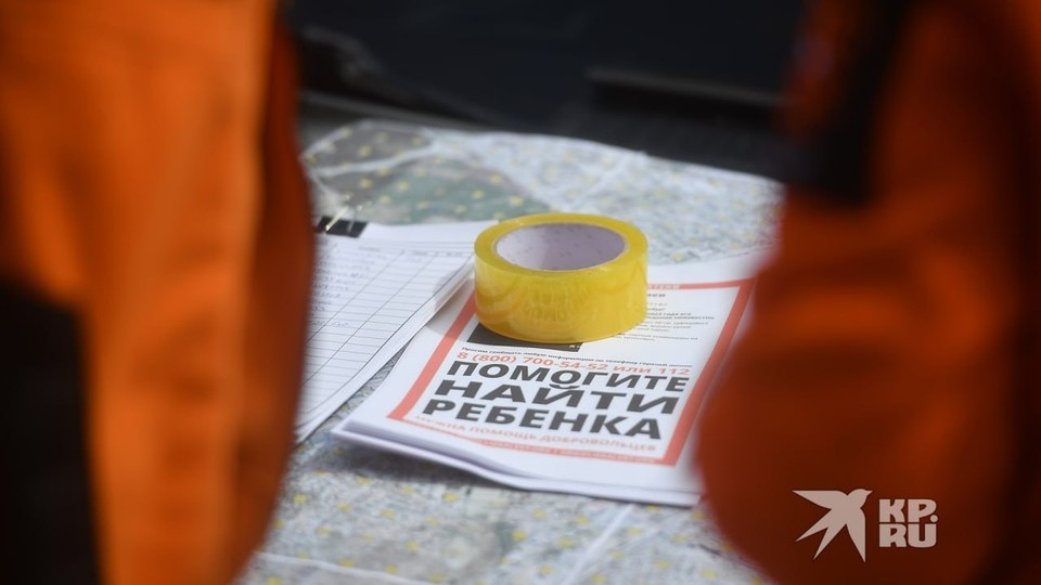 В свердловской деревне пропал 7-летний мальчик
