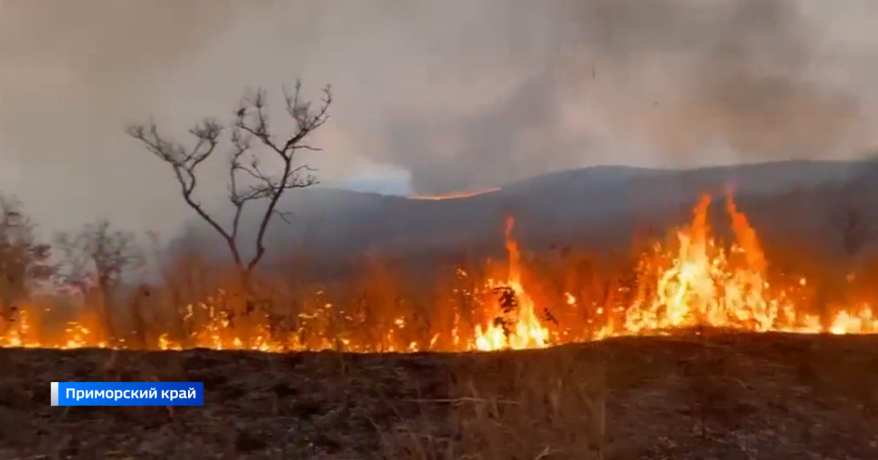    Источник фото: