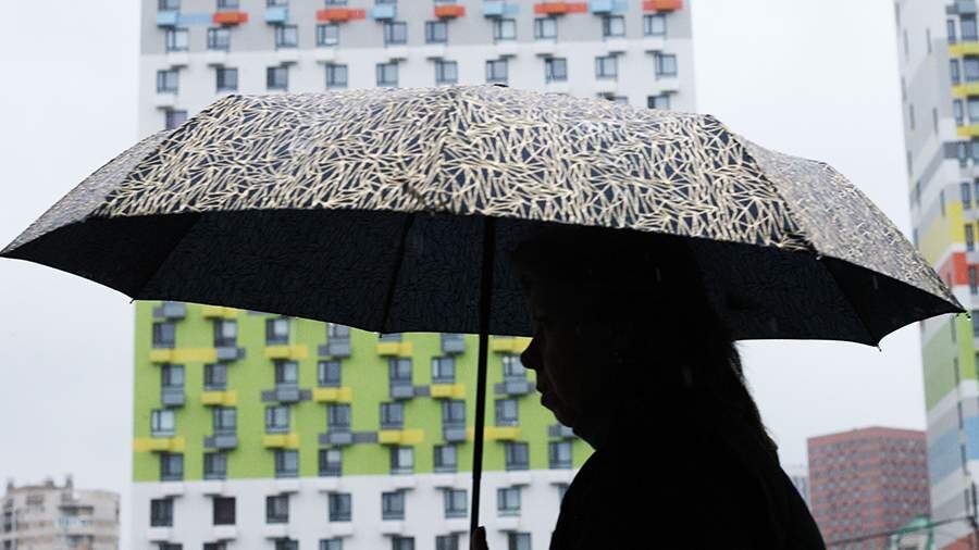    Фото: ИЗВЕСТИЯ/Юлия Майорова