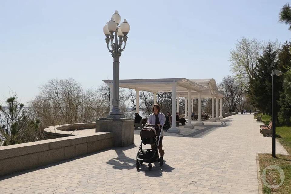    Фото: Дмитрий Рогулин / "Городские вести"