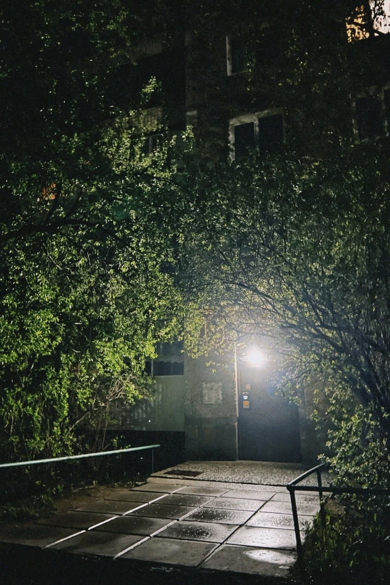 «После дождя»
Фото: Арина Русинова