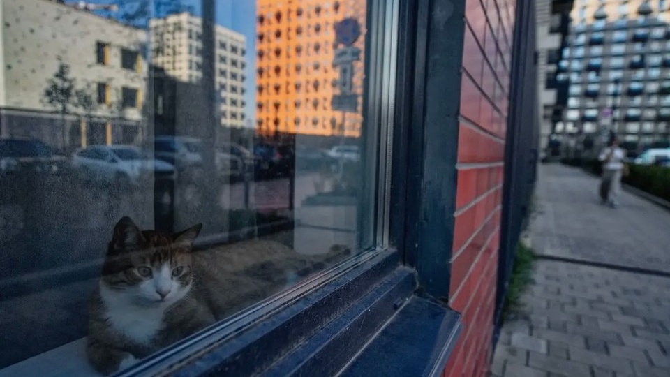 В Иркутской области за год капитально отремонтируют 1509 многоквартирных домов