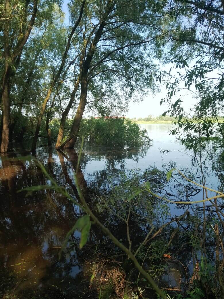 Фото автора. 