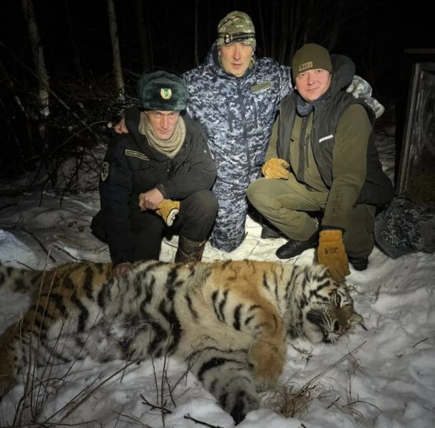    Фото:Пресс-служба Управления охотничьего хозяйства правительства Хабаровского края