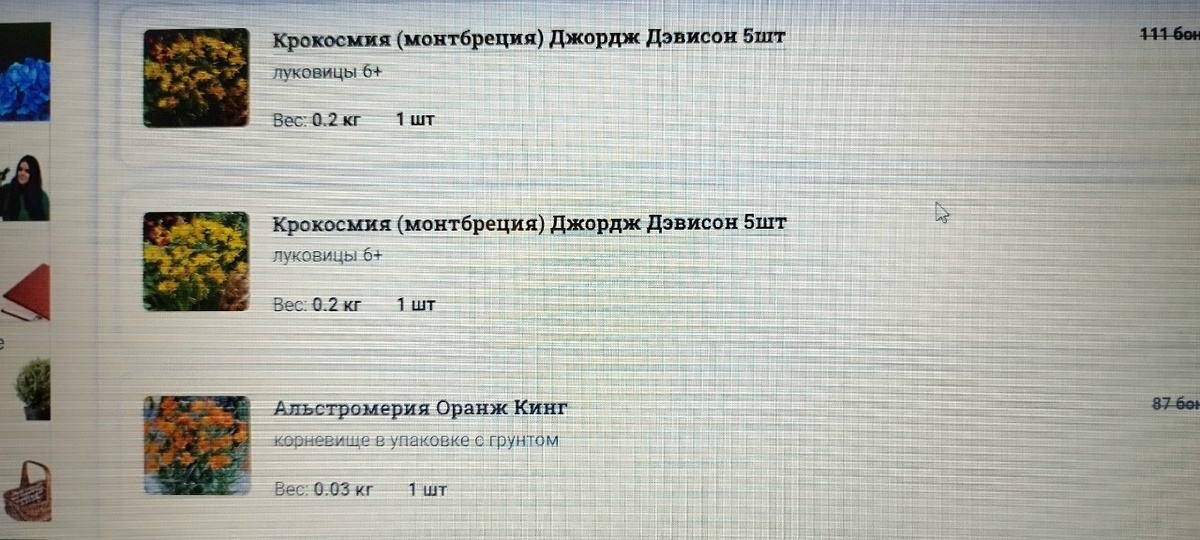Вот что пришлось покупать вместо гладиолусов, чтобы использовать деньги уже оплаченные за заказ.