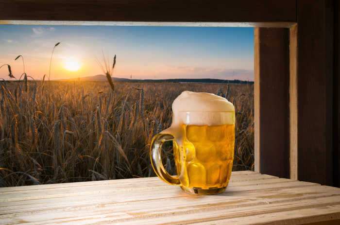    kishivan/123RF/Legion-Media