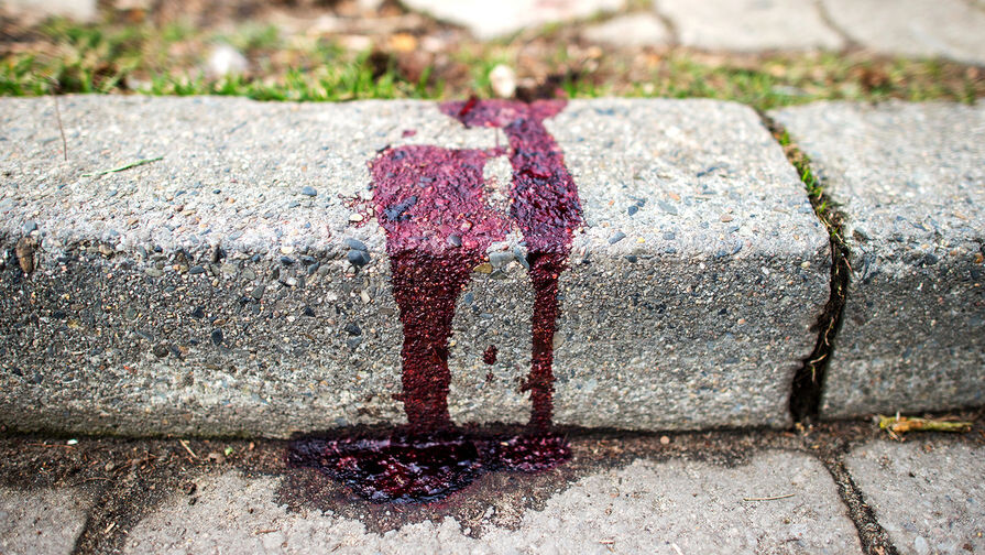 Hauke-Christian Dittrich/dpa/Global Look Press   📷