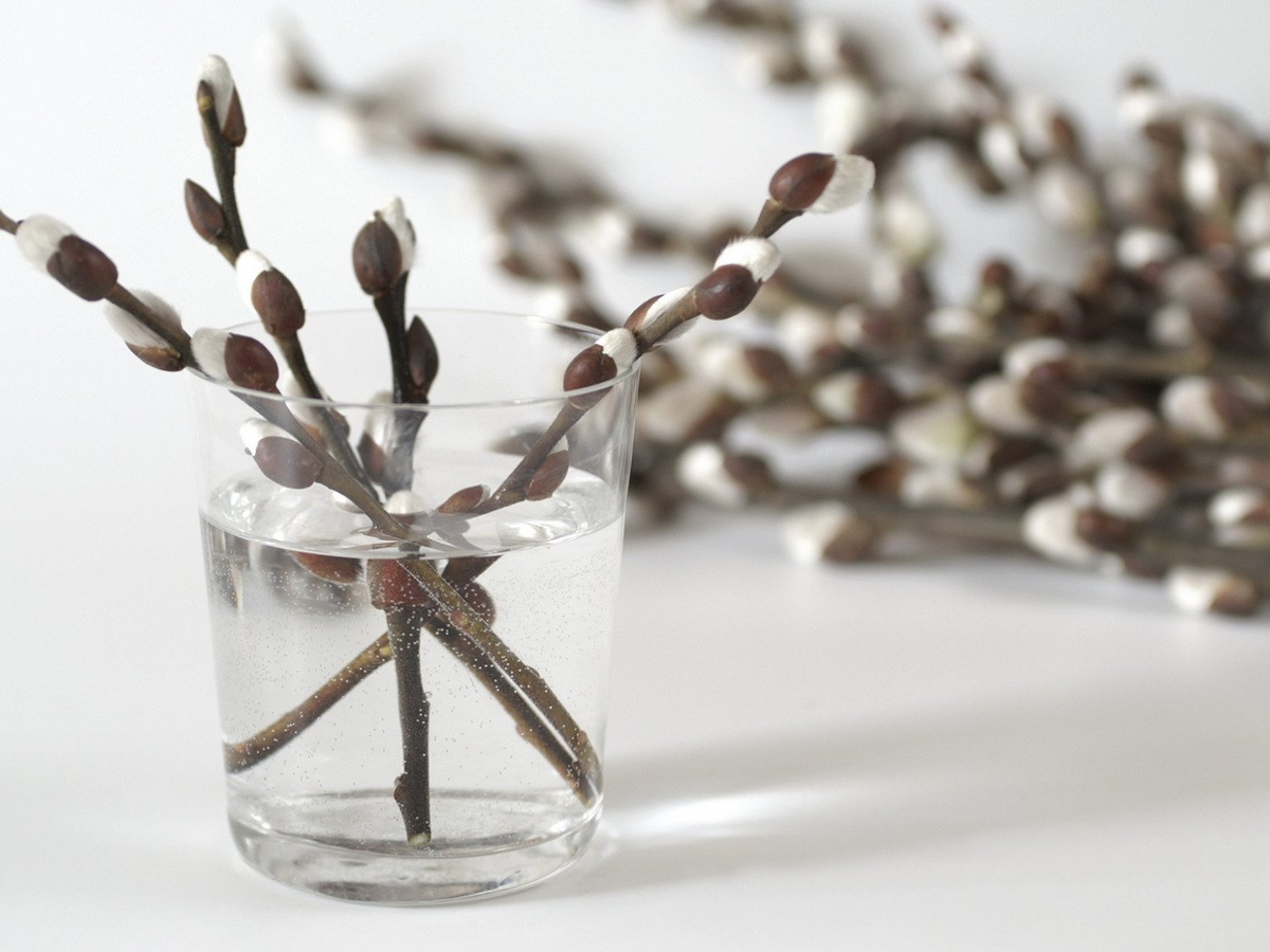 фото фрипик 💝 С любовью к каждому ,Наташа Эльберг- более 25 лет непрерывно практикующий энергопсихолог, кризисный психолог, синестет, автор книг-бестселлеров , автор методики ментальной трансформации и коррекции любых жизненных ситуаций с помощью специальных энергетических практик. Автор - мастер энергетического таро