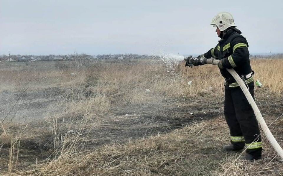    Отжиг сухой травы в Барнауле. Источник: barnaul.org