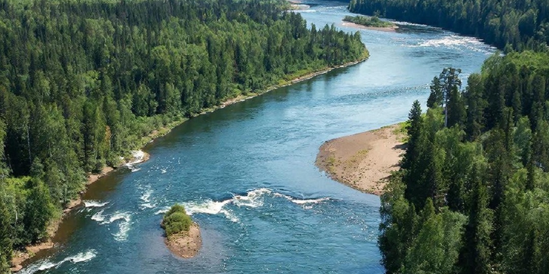 РАН ежегодно блокирует 10% исследований: от электроники до разворота рек