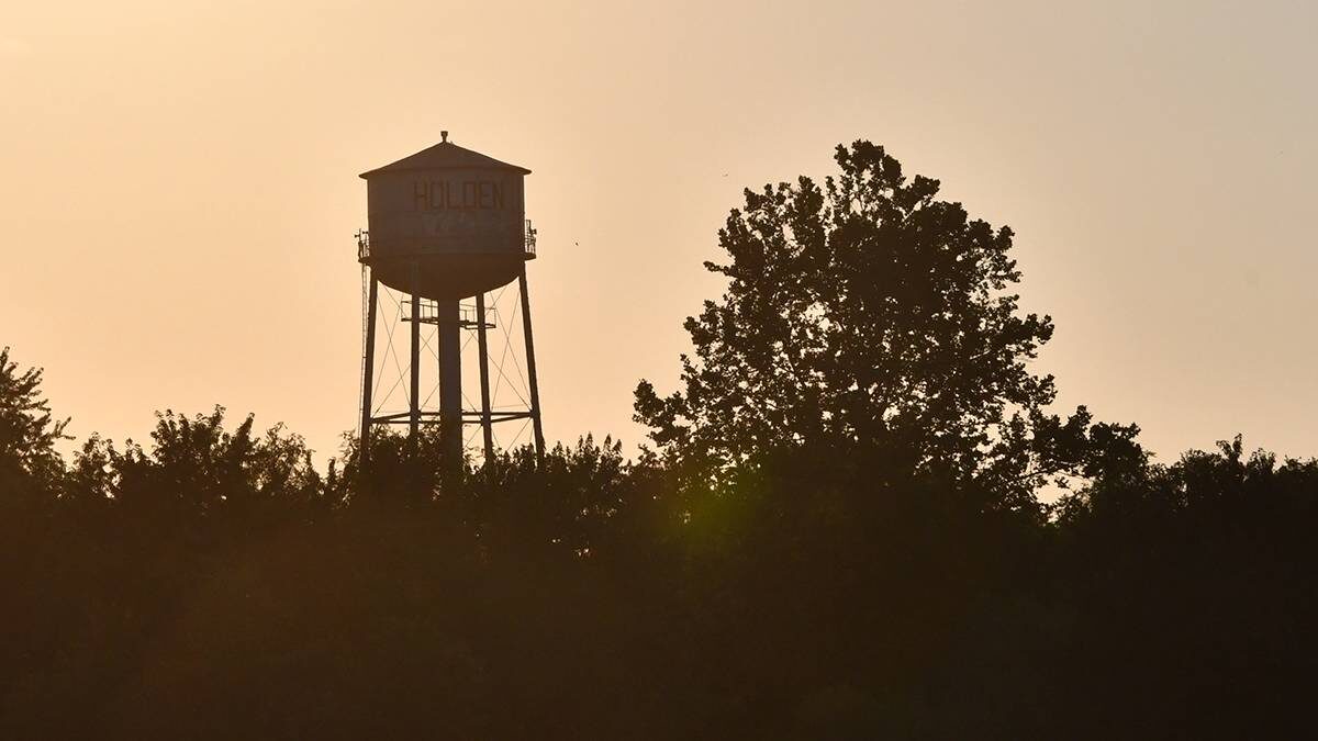    Фото: Shutterstock