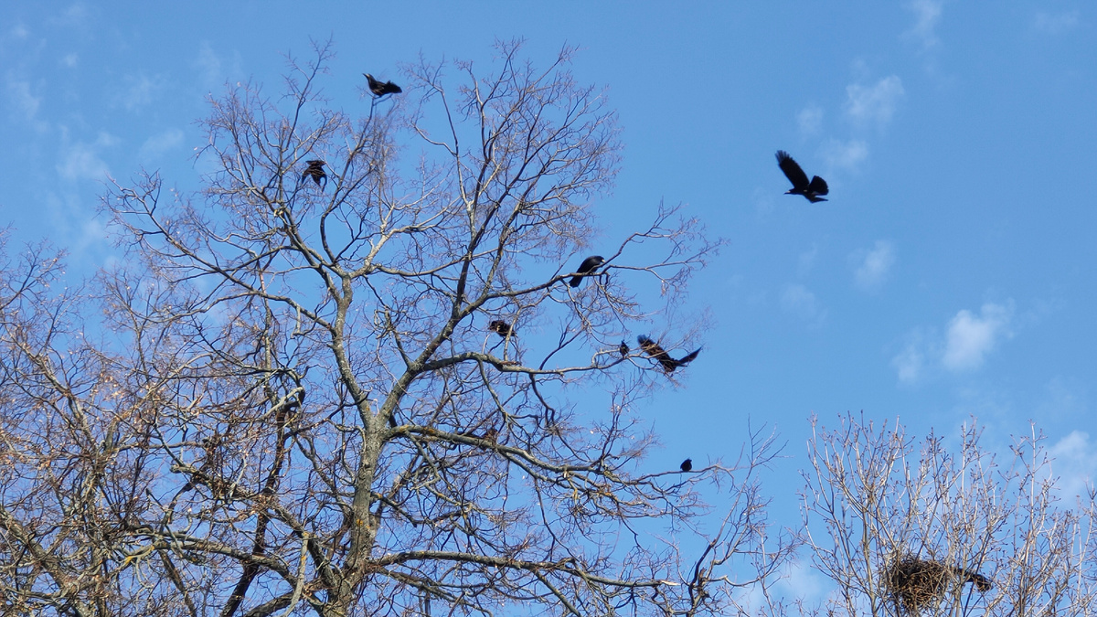 Фото автора. Апрель