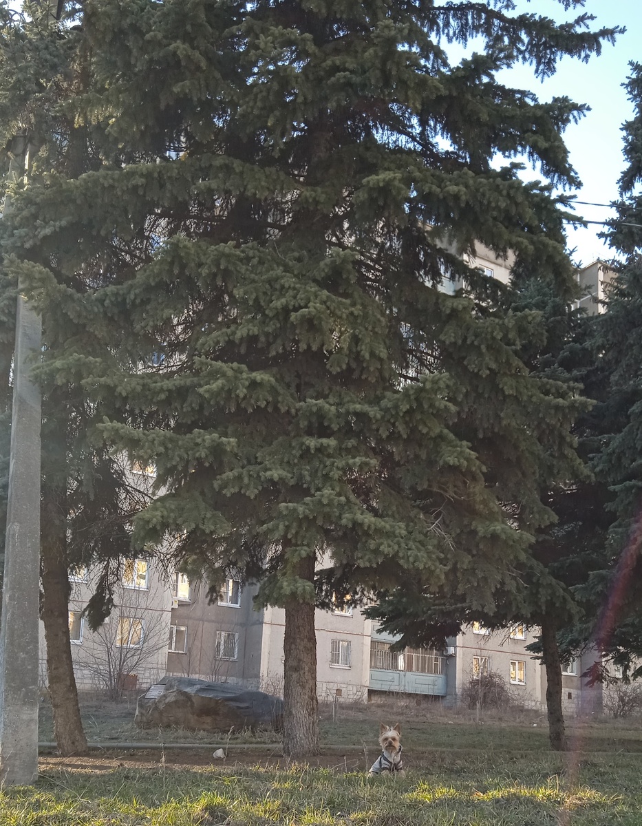 Все фото автора