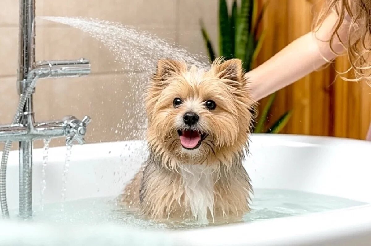    Лить воду без счётчика теперь трижды накладно.