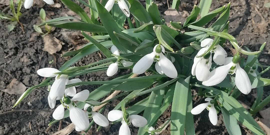 Весна, апрель, а еще мой день рождения.
