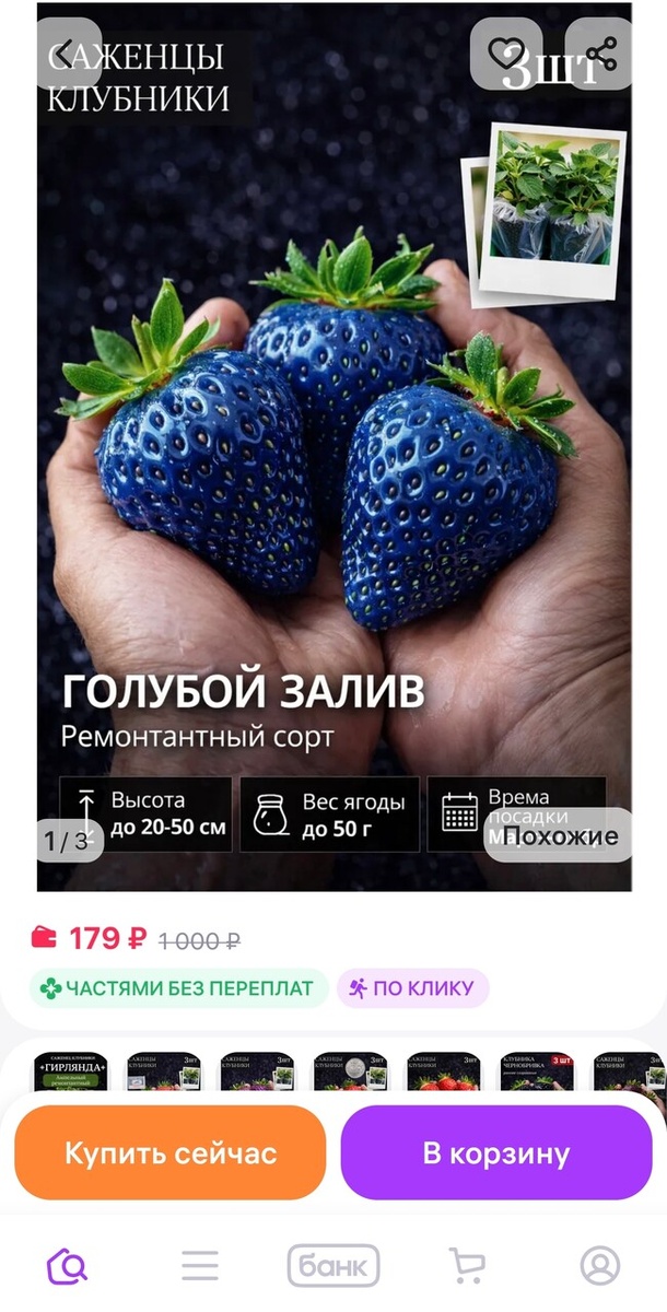    Скриншот: wildberries.ru