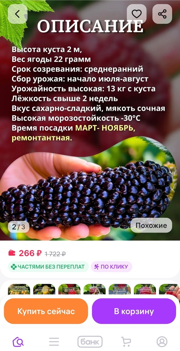    Скриншот: wildberries.ru
