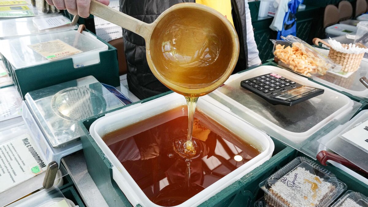    Фото: ИЗВЕСТИЯ/Дмитрий Коротаев