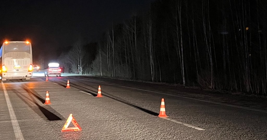 Под Верхней Пышмой автобус насмерть сбил пешехода