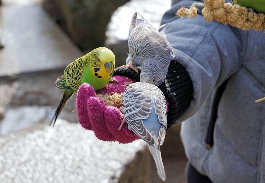 Бывает и так