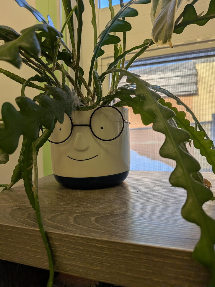 © Entertainment_Bottom