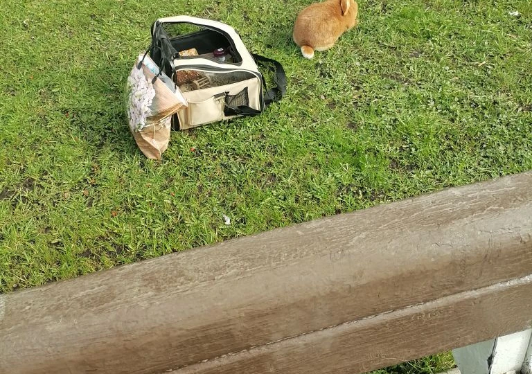 Мои промежуточные итоги снижения веса за 2,5 месяца.