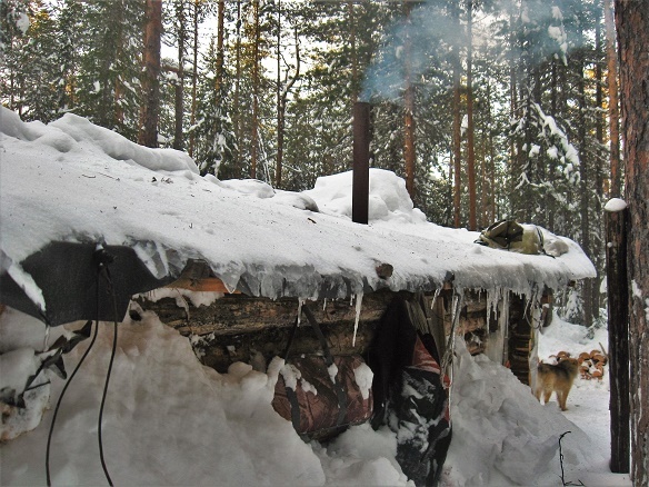 Фотографии Татьяны Немшановой разных лет. Тайга Крайнего Севера Западной Сибири ХМАО Югра, лес северный таёжный,снега Севера Сибири. Охотничье зимовье. Таёжная жизнь.