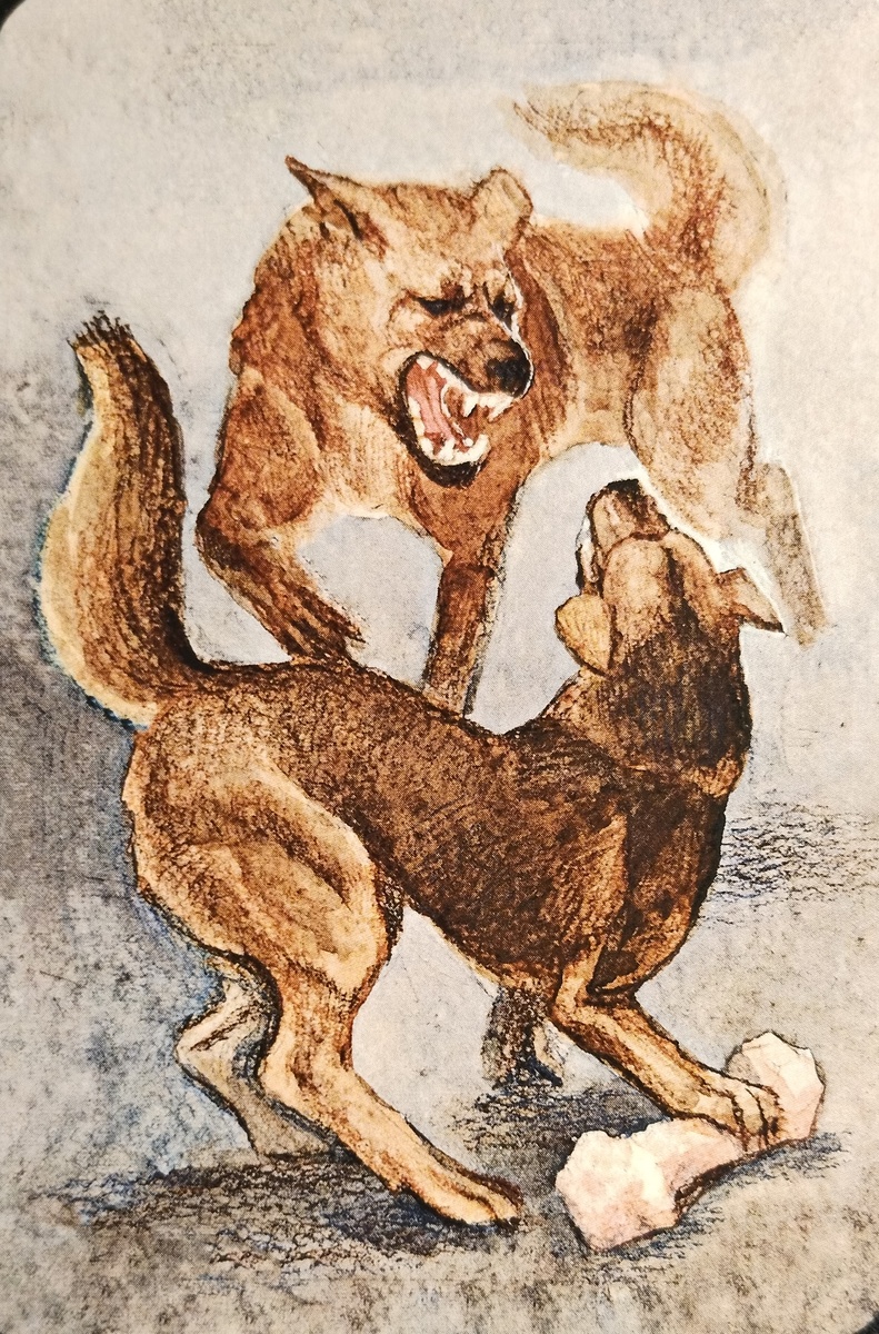 Карта из колоды МАК Рефлексия 