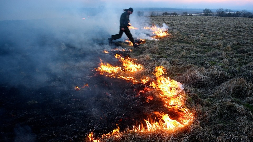 В Иркутске начали контролируемые отжиги сухой травы
