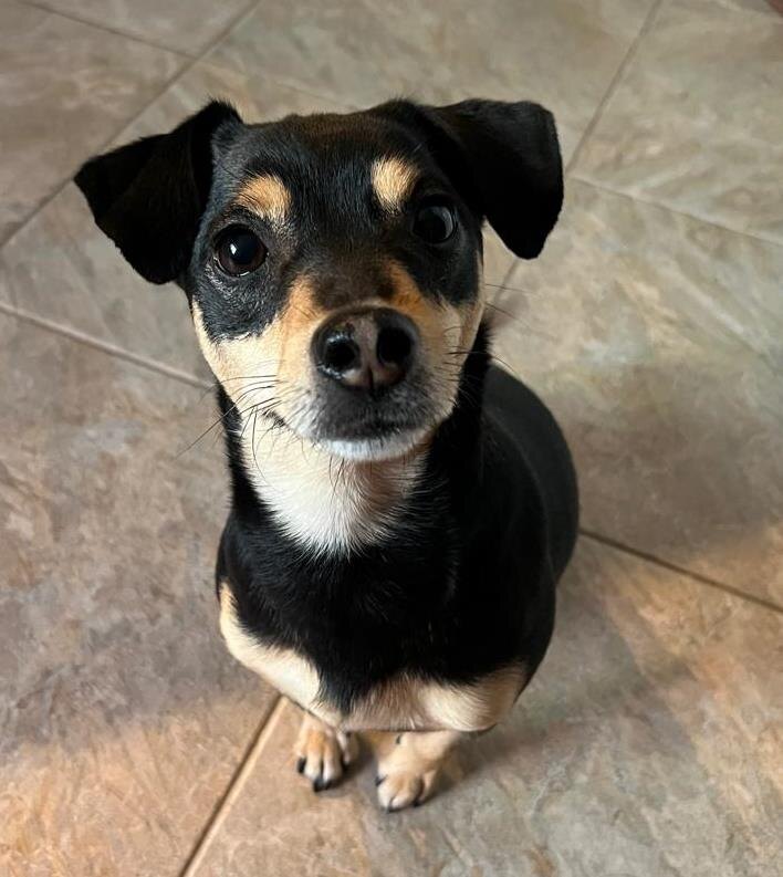 Не умею врать мамочке...