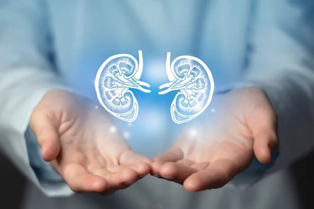    Куда обращаться при проблемах с почками?