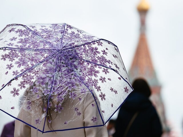    Фото: Москва 24/Никита Симонов