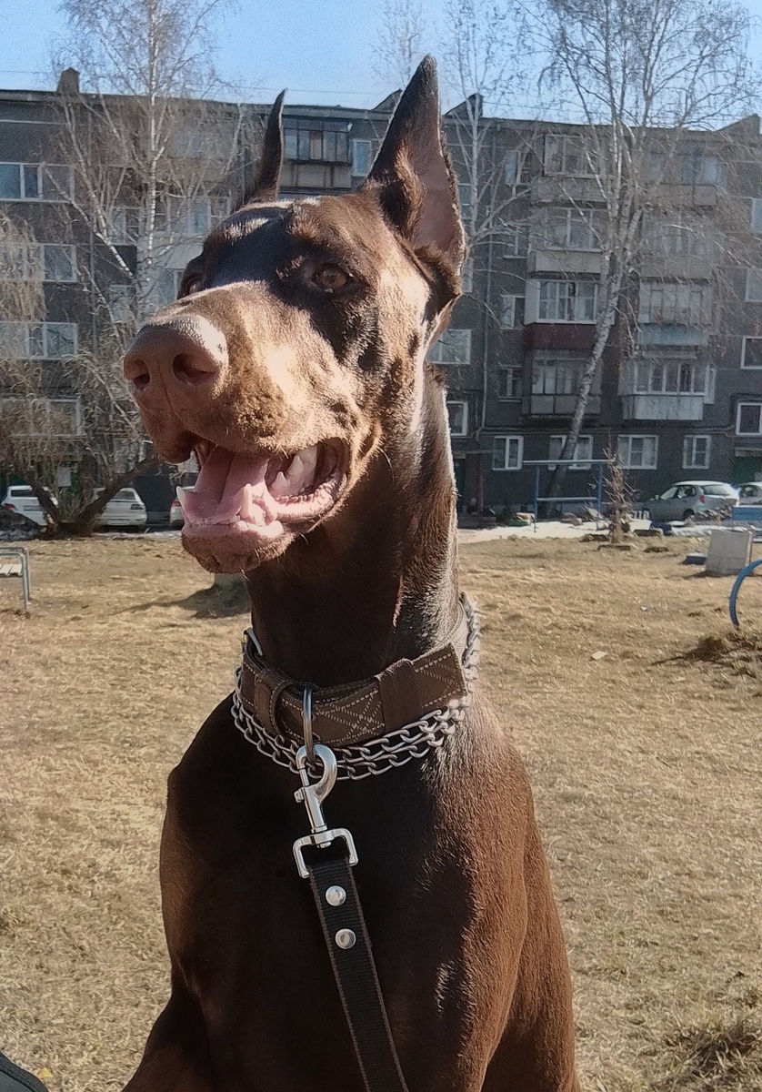 Джек 1год и 2 месяца